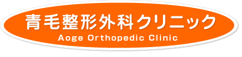 内科 消化器内科 内視鏡内科 青毛整形外科クリニック
